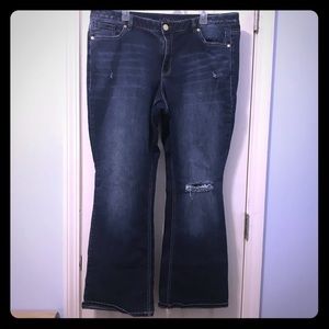 Lane Bryant Bootcut Distressed Jeans